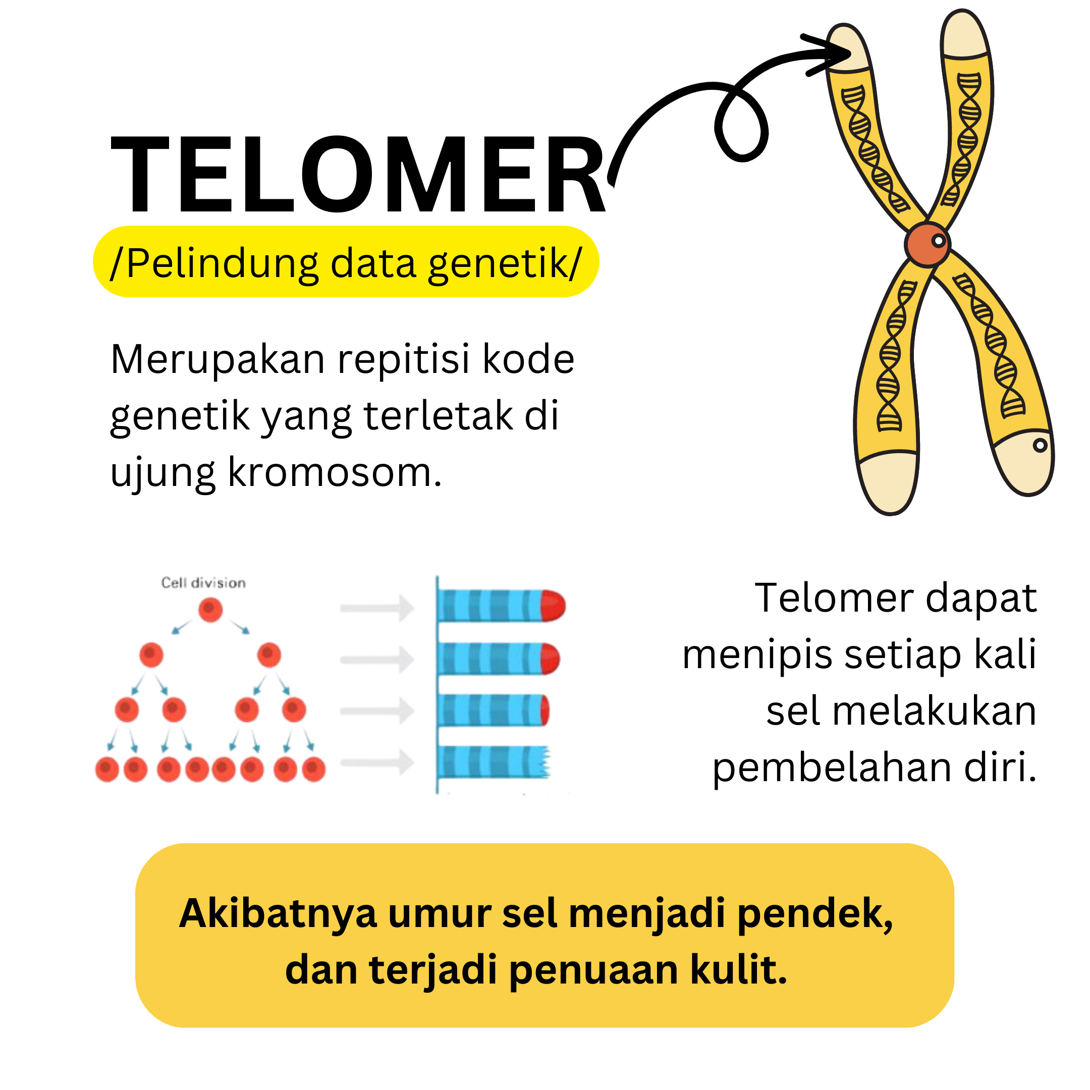 LET YOUR YOUTH BLOSSOM