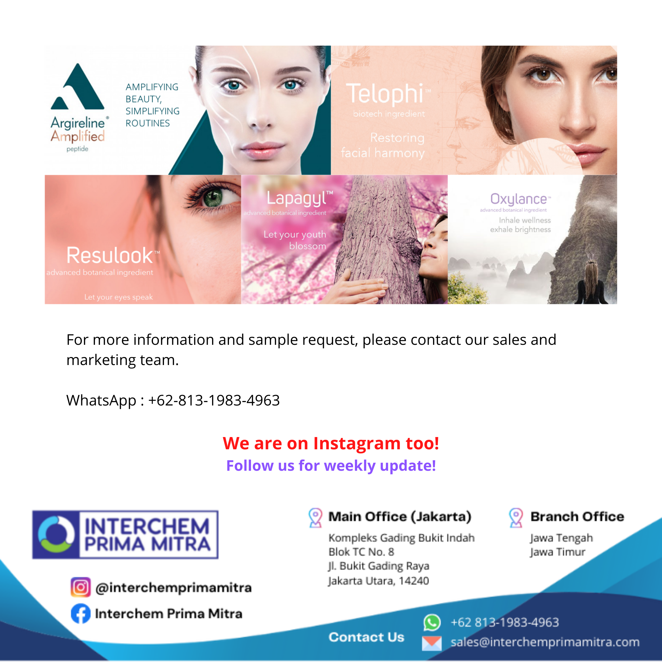 EFFECT PIGMENTS: PREMIUM SUPPLIER OF HIGH QUALITY