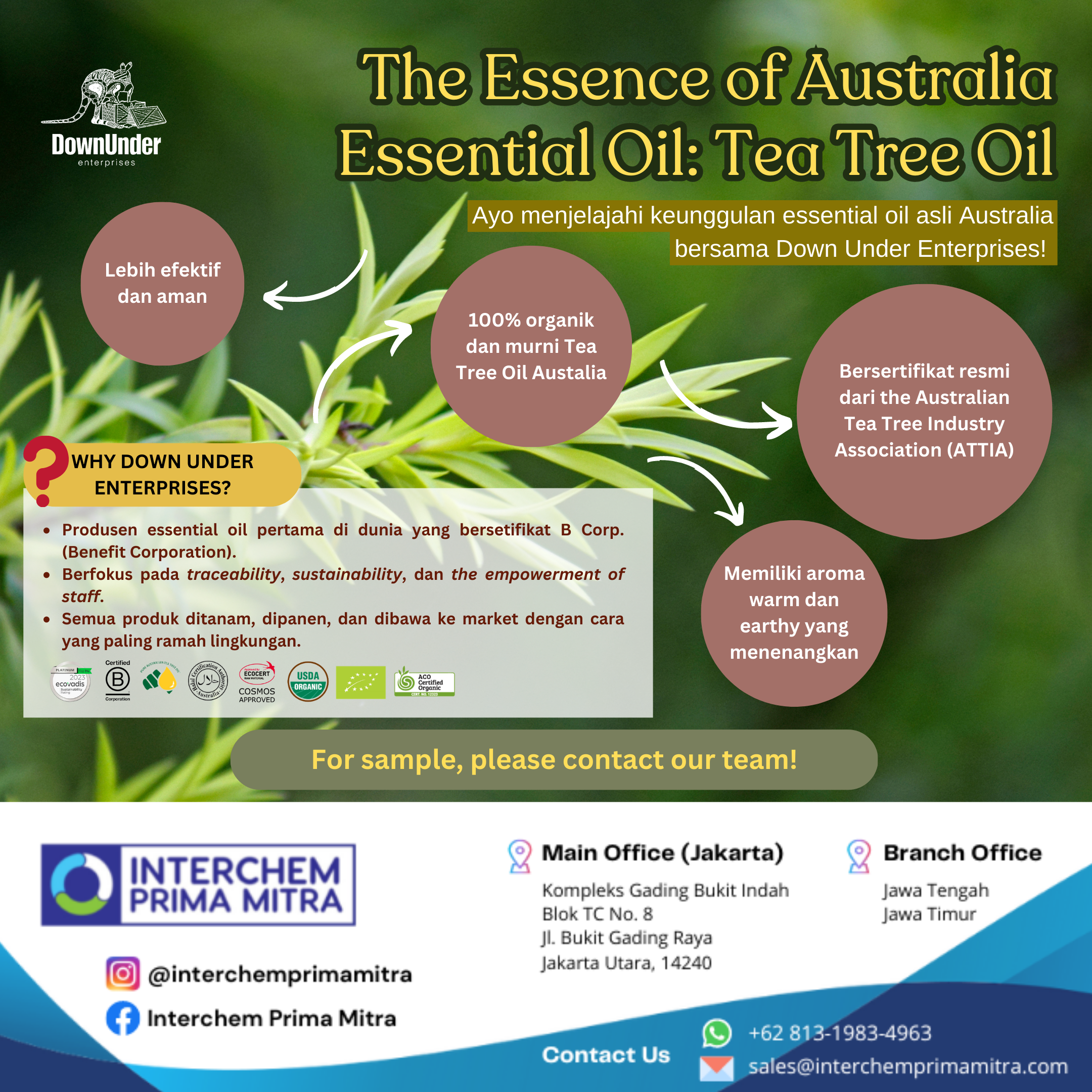 The Essence of Australia Essential Oil: Tea Tree Oil