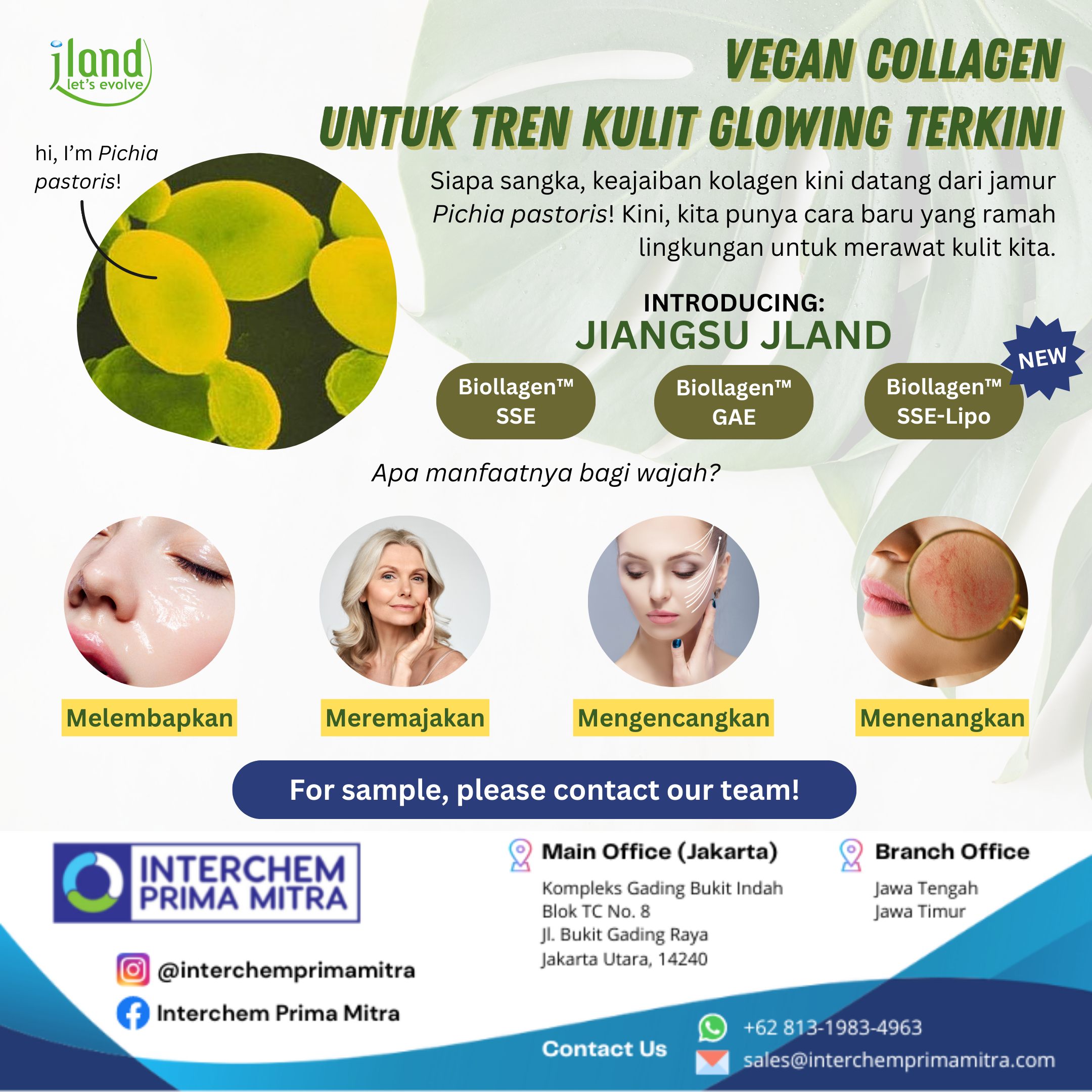 Vegan Collagen Untuk Tren Kulit Glowing Terkini
